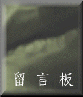 Boardbuttom01.gif (5098 bytes)